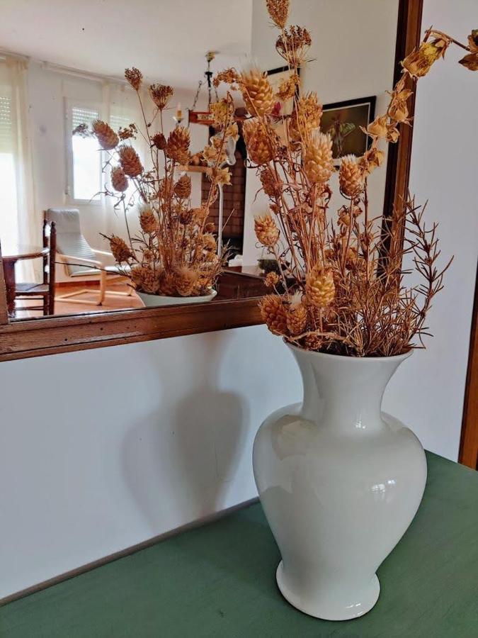Apartamento Rural El Vidre Vt-42035-Cs Vistabella del Maestrazgo Exteriér fotografie